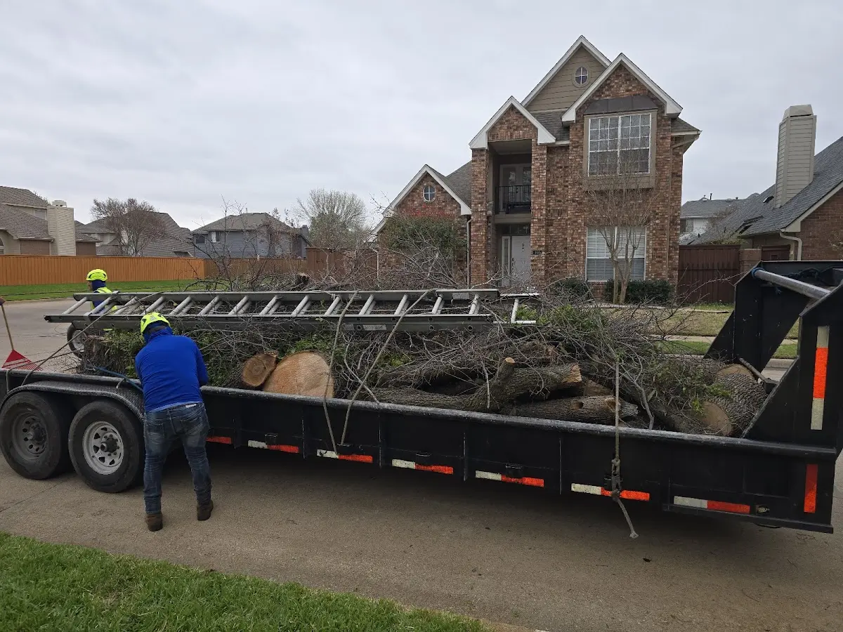 Expert Tree Fertilization with proper safety equipment in Cordell